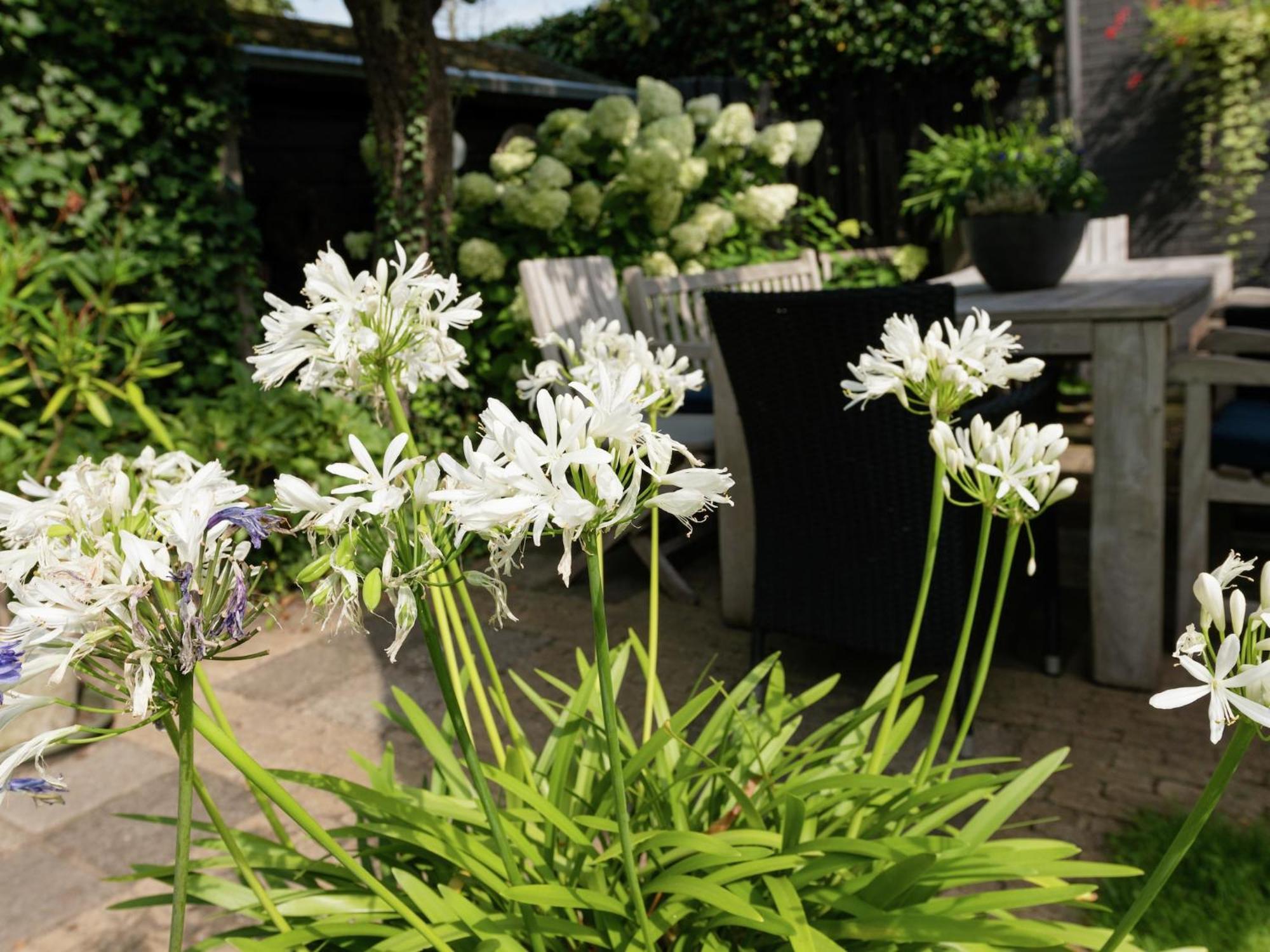 Alluring Apartment In Bergen With Terrace Garden And Bbq Zewnętrze zdjęcie