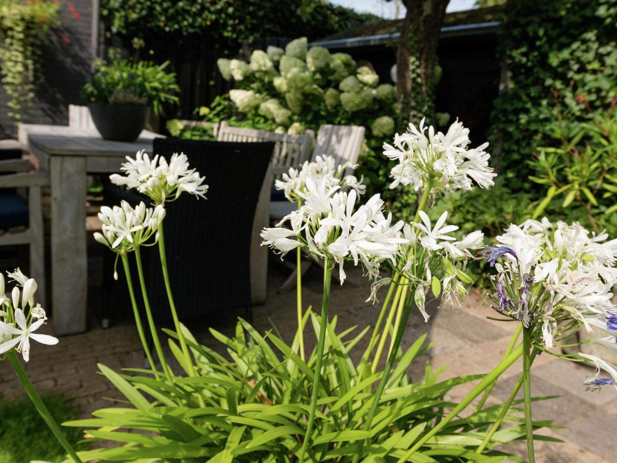 Alluring Apartment In Bergen With Terrace Garden And Bbq Zewnętrze zdjęcie